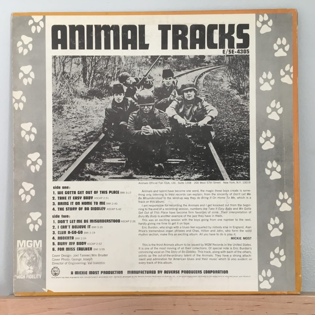 Animal Tracks US Back Cover