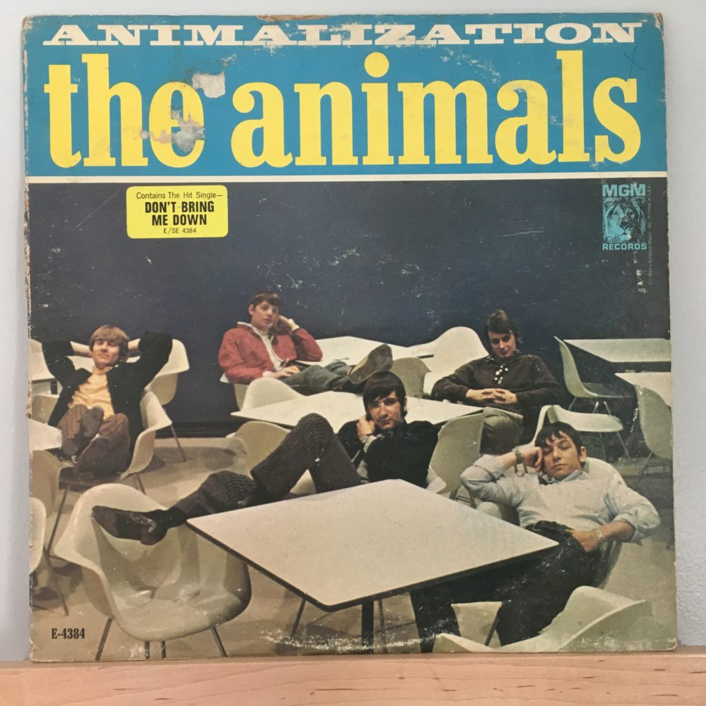 Animalization US Front Cover