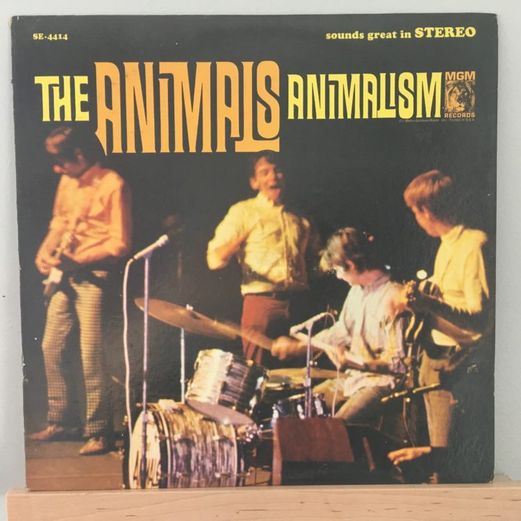 Animalism front cover retake