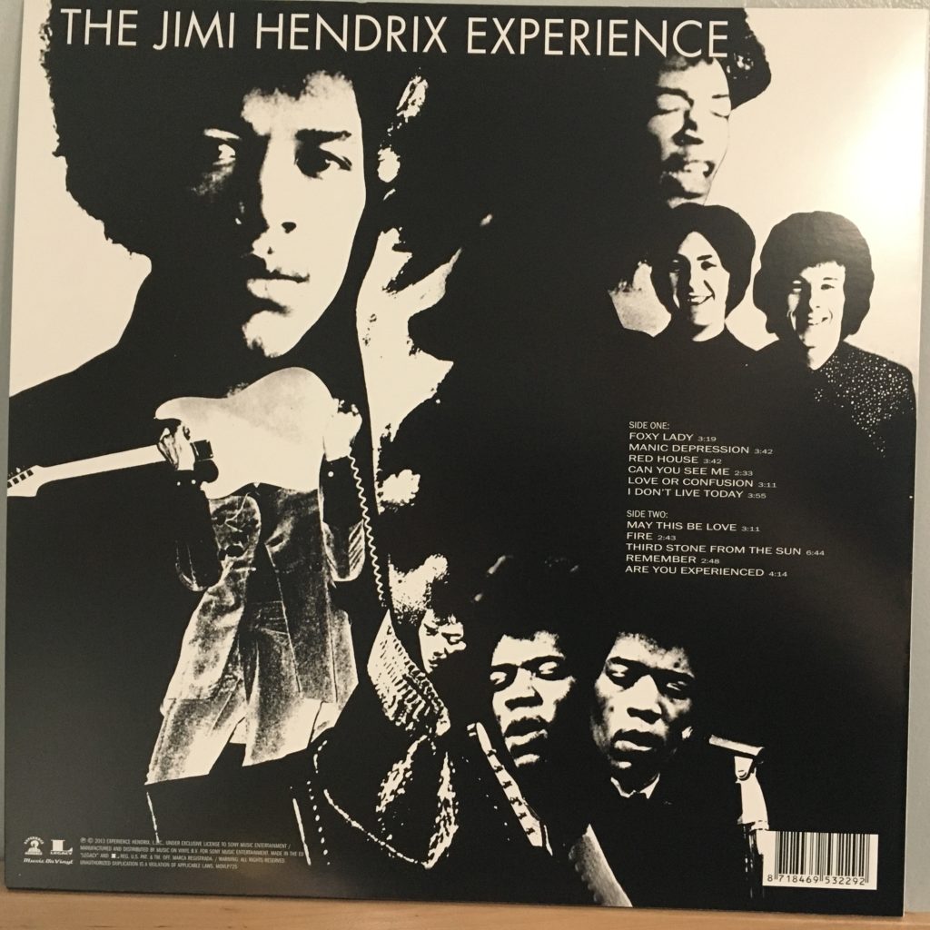 Are You Experienced back cover