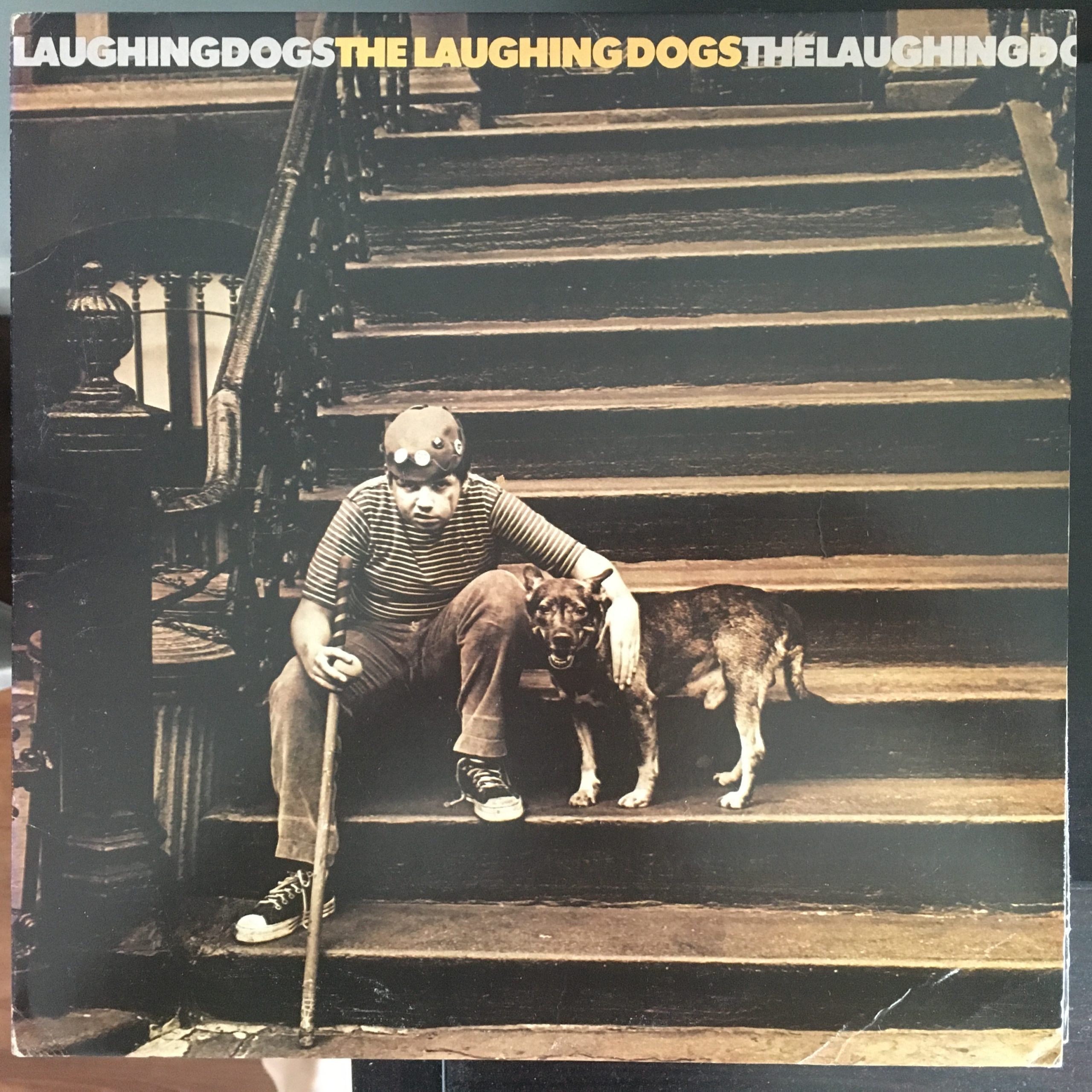laughing dogs