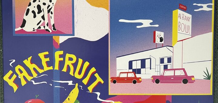 Fake Fruit front cover