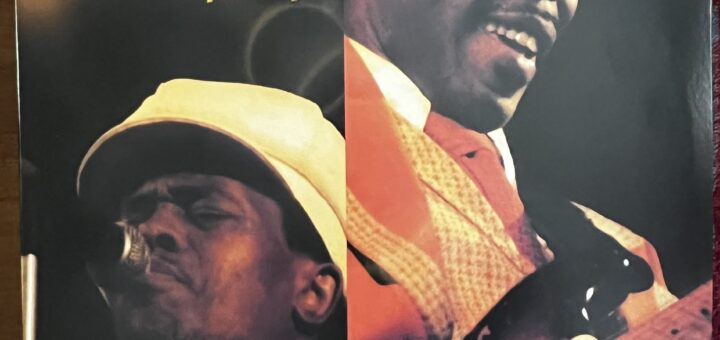 Junior Wells & Buddy Guy Live in Hiroshima 1975 front cover