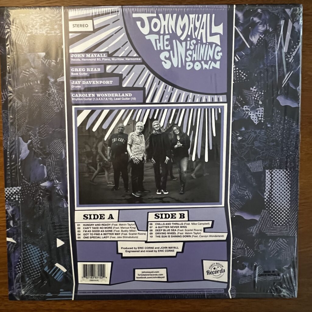 The Sun Is Shining Down back cover